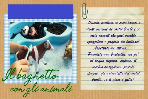 bagno animaletti