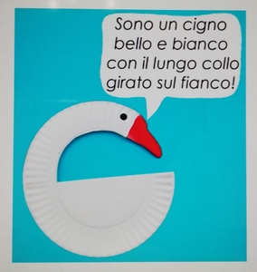 cigno