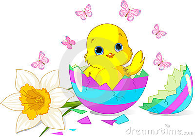 easter chick surprise 19125900