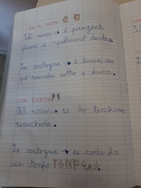 descrizione della castagna 3