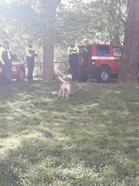 CANI A SCUOLA 1