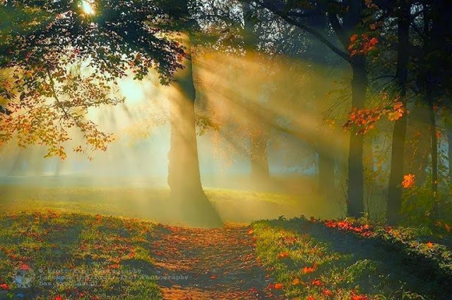 07813 autunno2