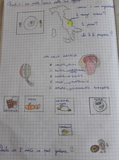 20180414 094333