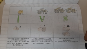come contava le pecore
