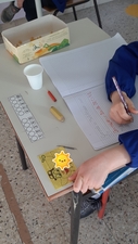 inizio laboratorio