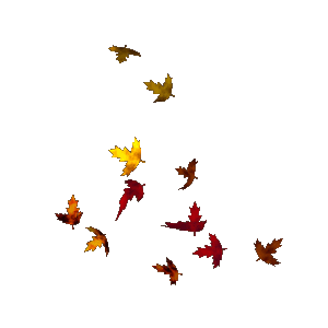 autunno4