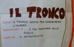 il tronco