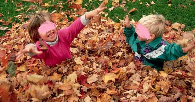 foglie-autunno