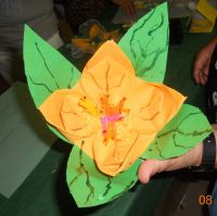 thumb_DSCN4552