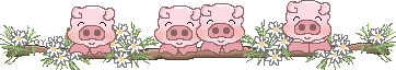 divisori5