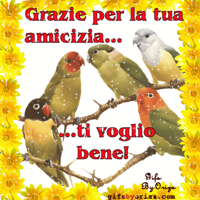 amicizia1