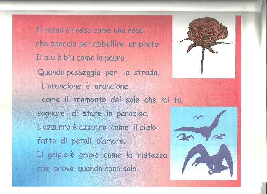 pag 8 001