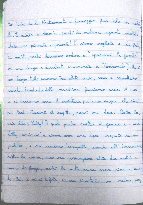 DSCN5816_b