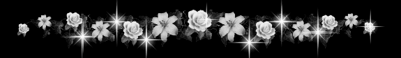 divisore 16
