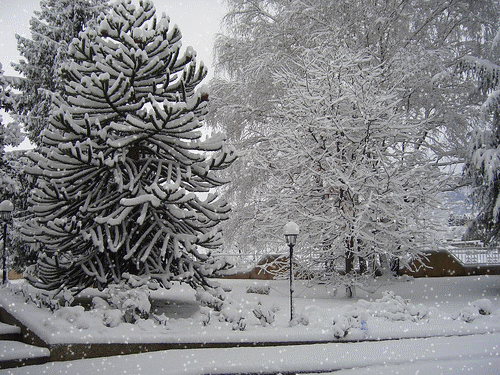 neve-fin