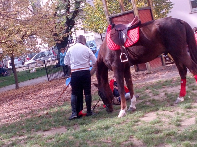 2014-11-11 10.26.51 - Copia