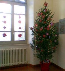 thumb_14122010001