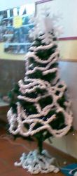 thumb_14122010011