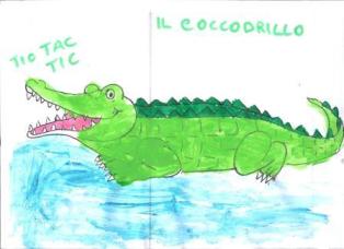 coccodrillo