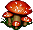 funghi
