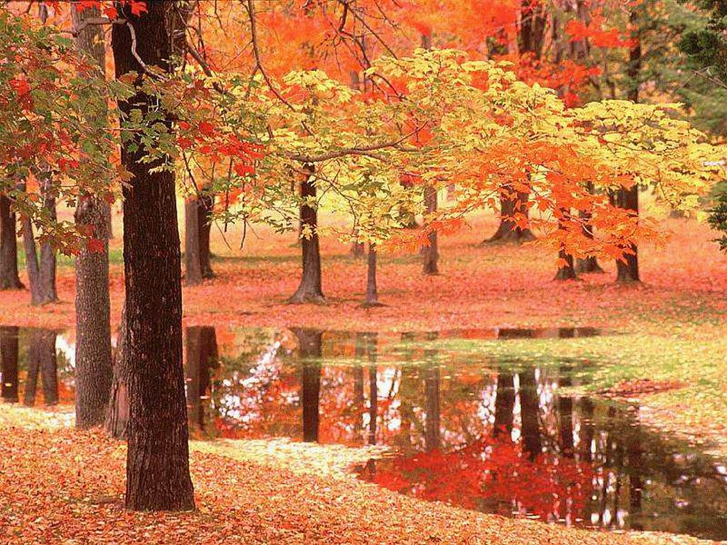 autunno_rosso_1
