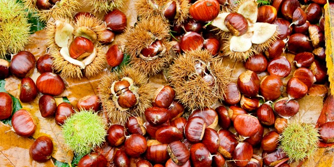 Delizie-dAutunno-castagne-660x330